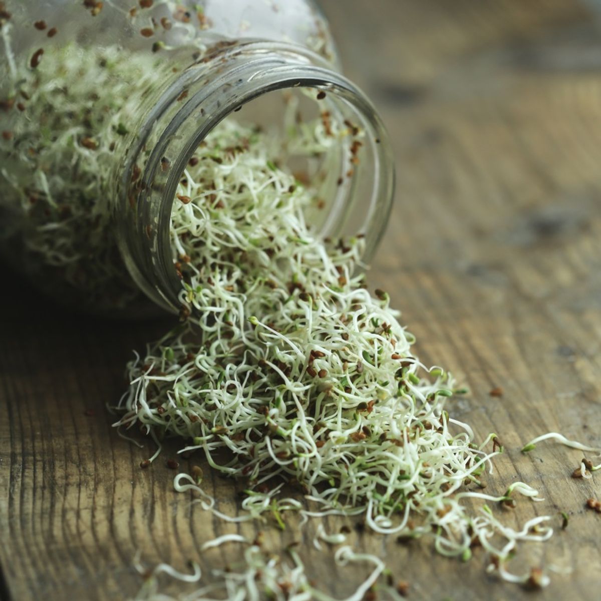 how to sprout