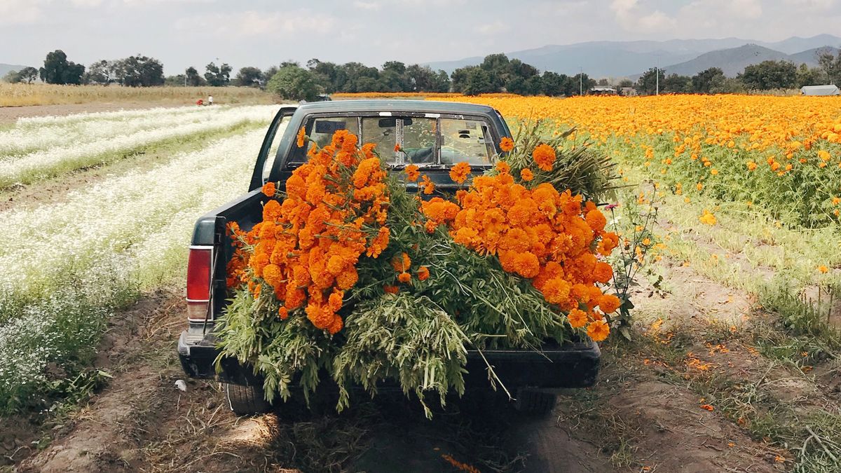 day of the dead history and meaning