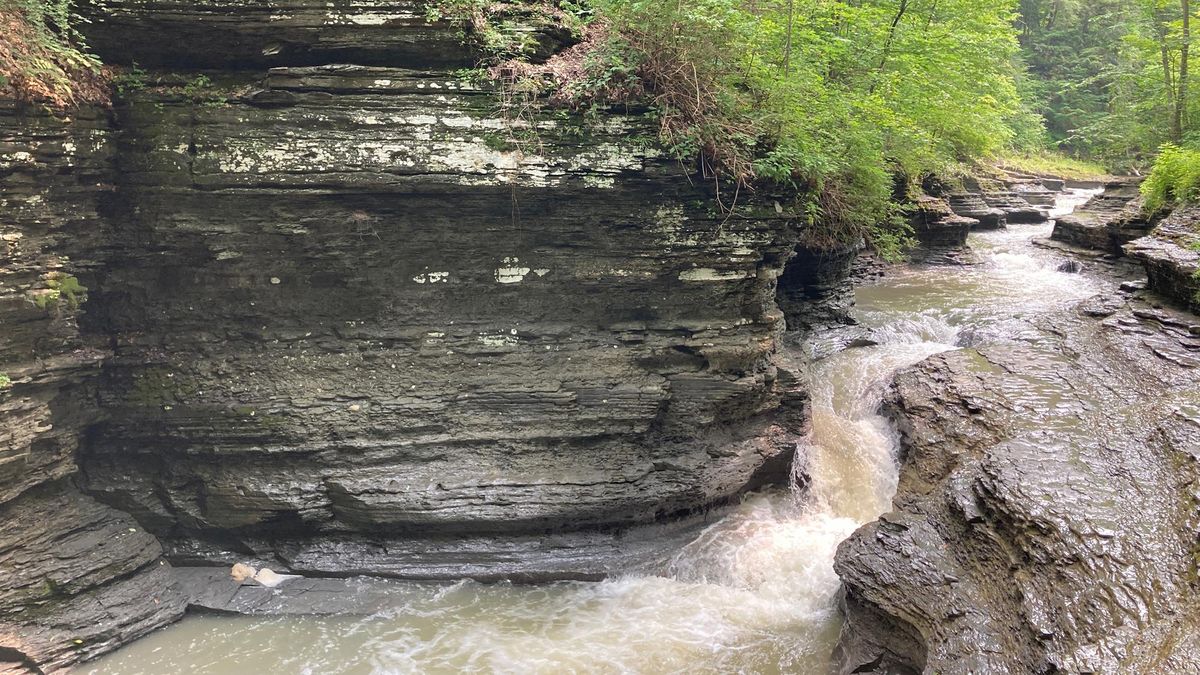 finger lakes new york