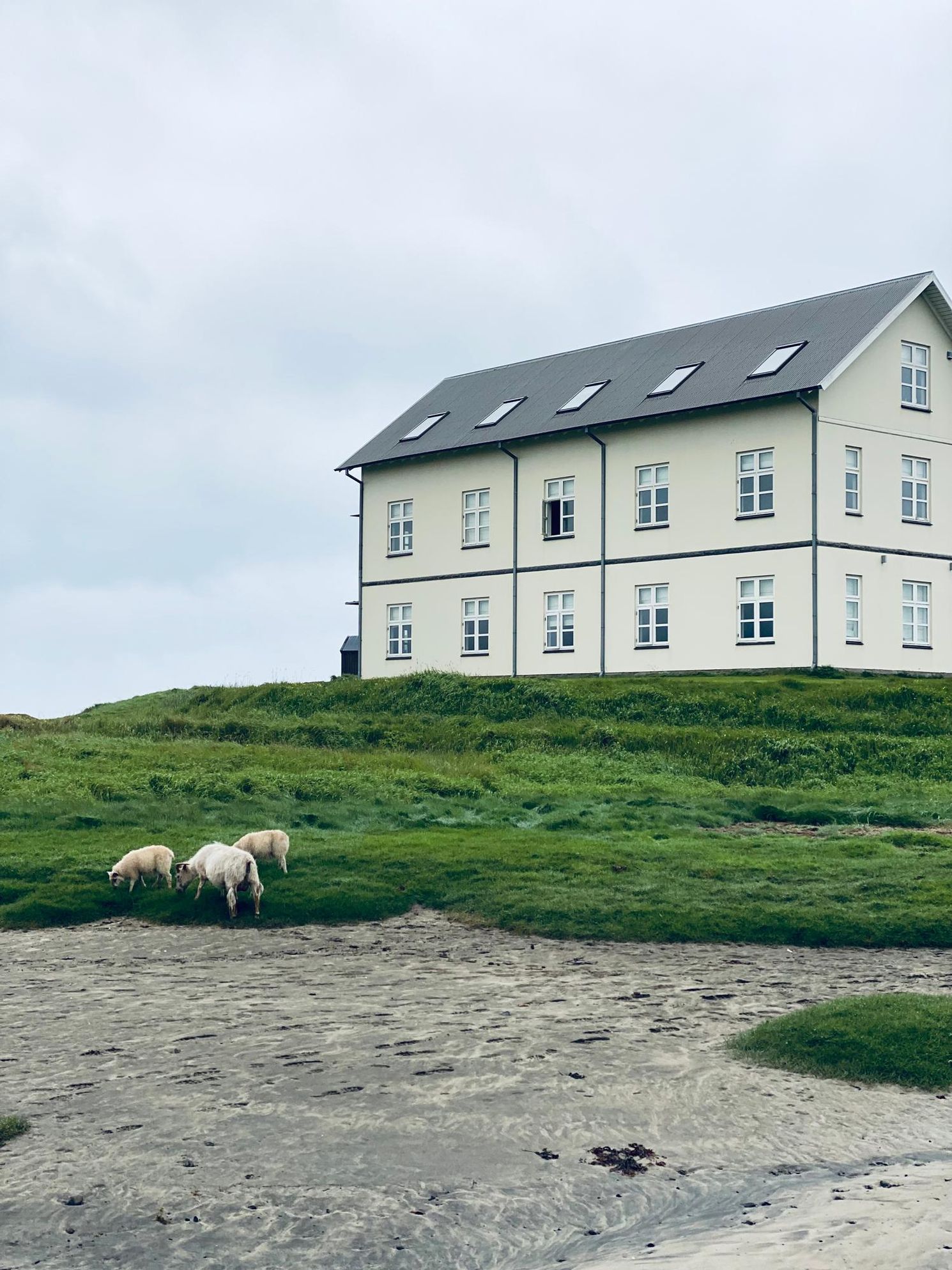 Hótel Búðir by Coveteur / Zoe Schaeffer