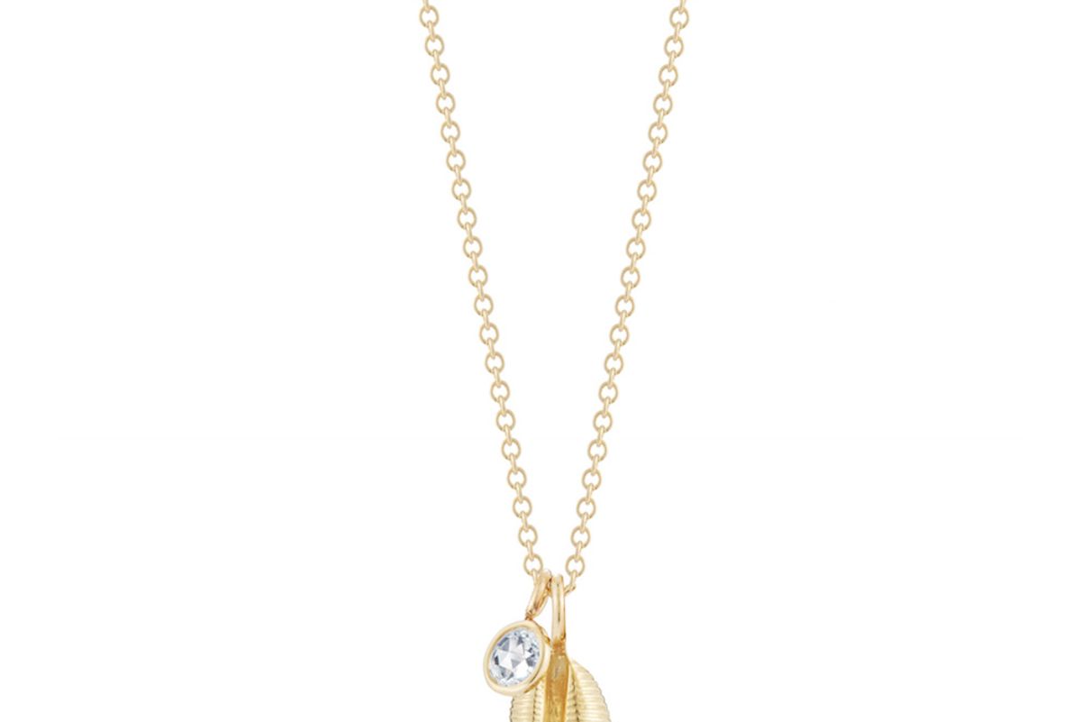 finn jewlry cowrie shell necklace