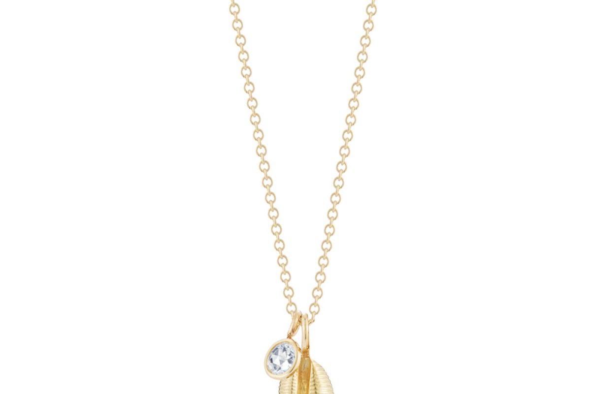 finn jewlry cowrie shell necklace
