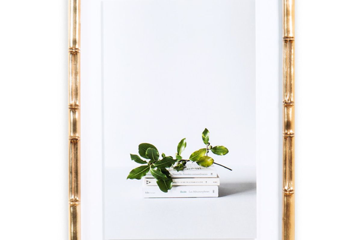 frambridge lucia blush bamboo frame