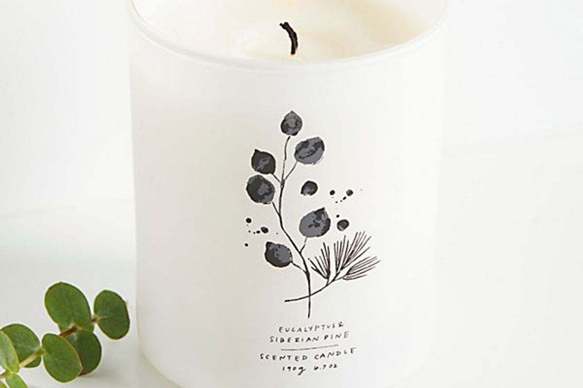 free people eucalyptus and siberian pine candle