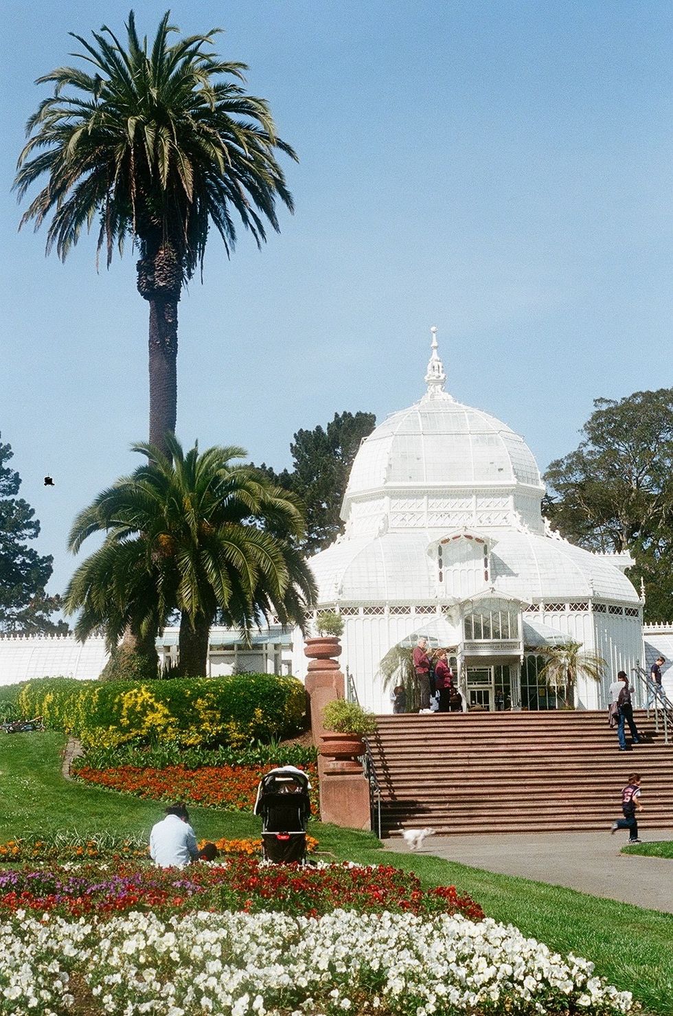 Golden Gate Park in San Francisco