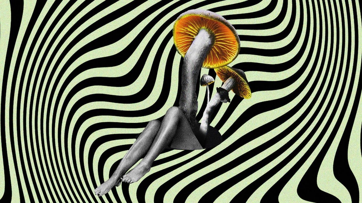 Graphic of Shrooms 