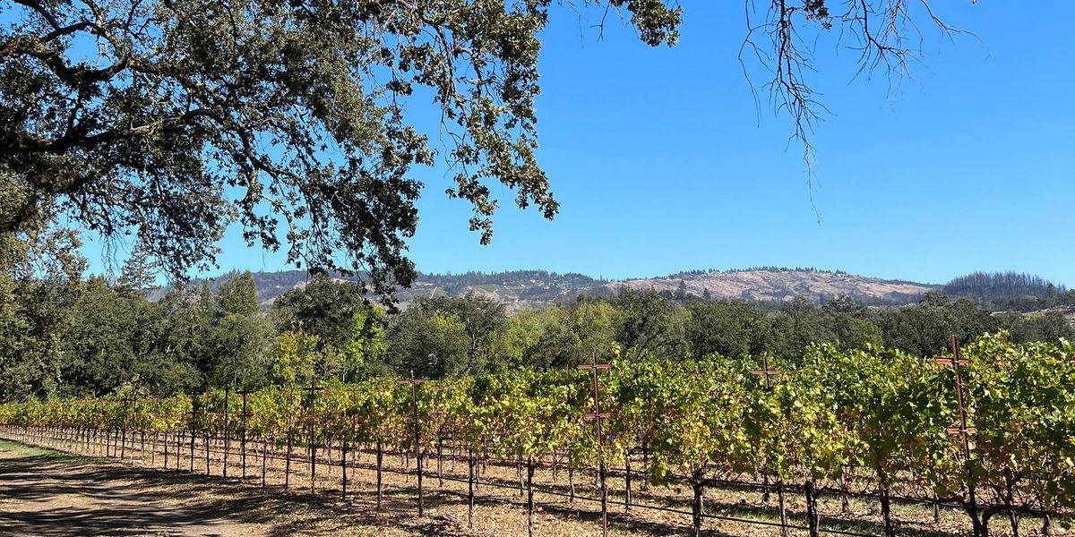 The Weekender: A Guide to Napa Valley, California