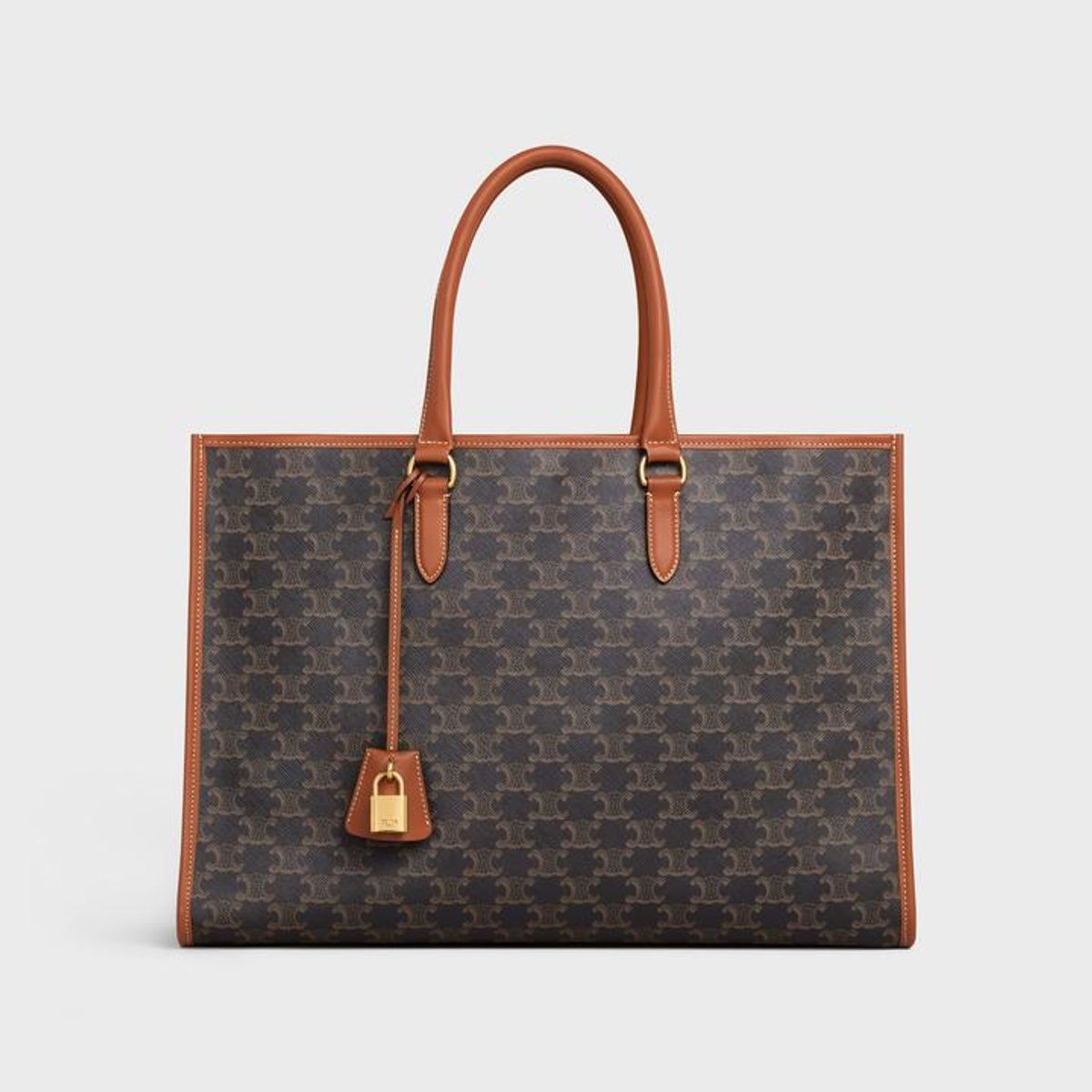 Triomphe Top Handle Canvas Bag