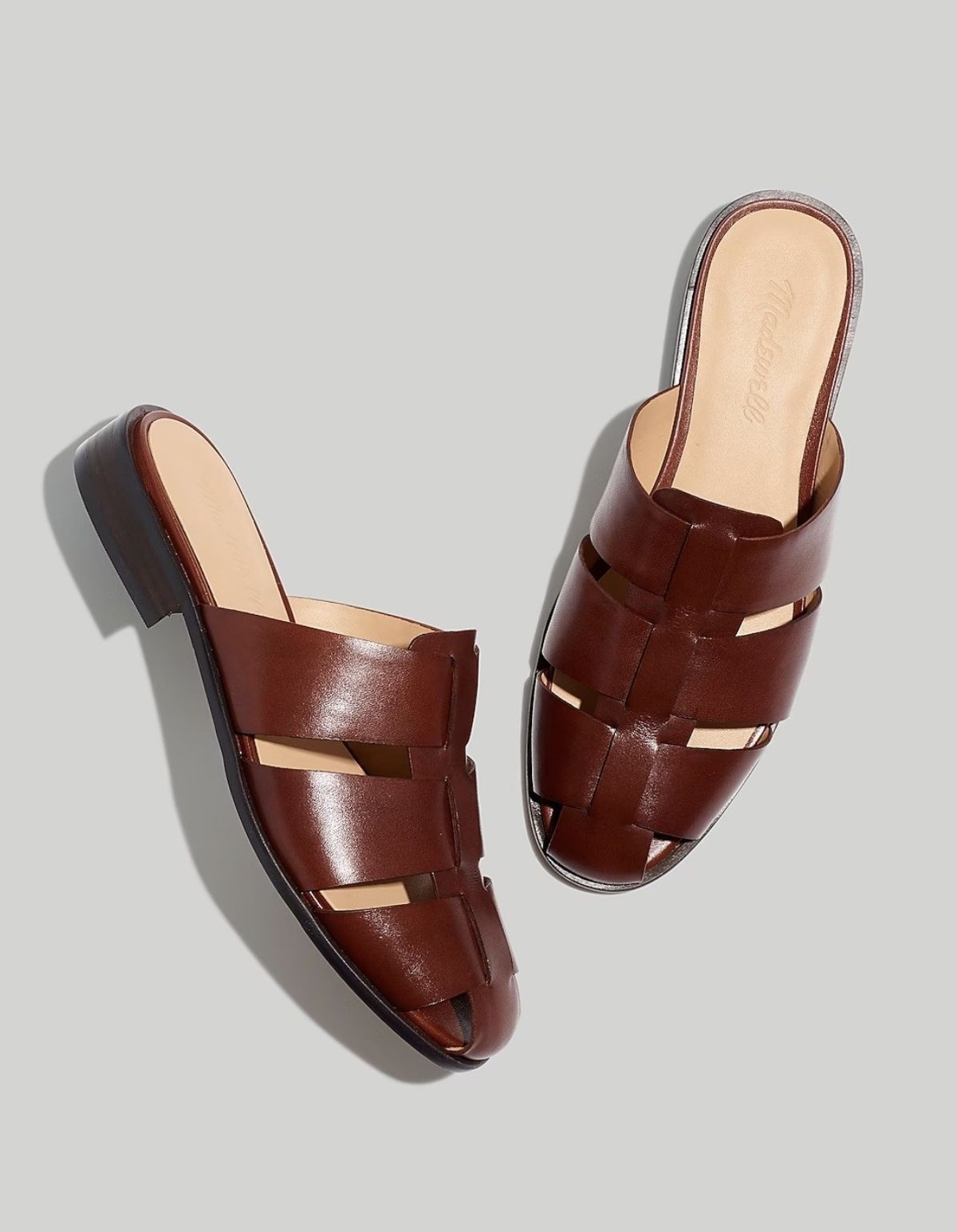 The Dixson Fisherman Mule