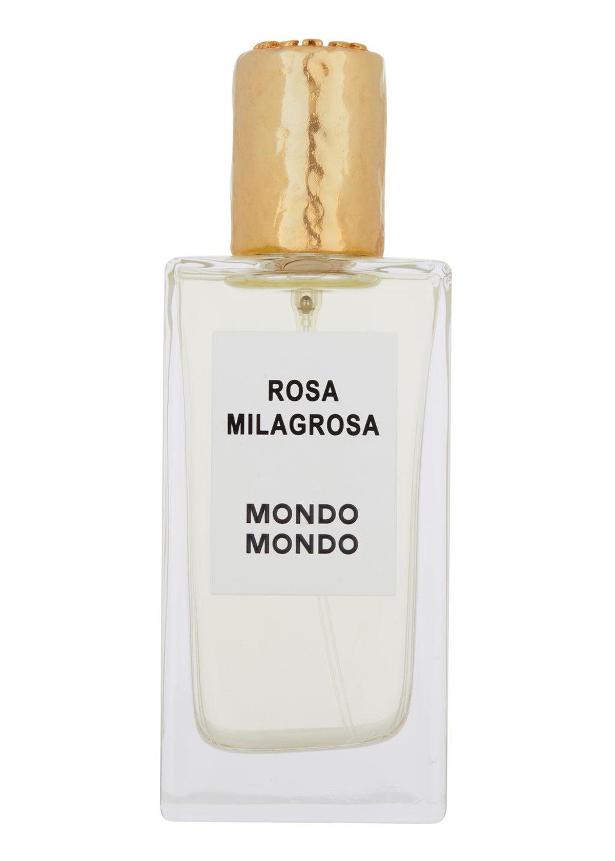 Rosa Milagrosa