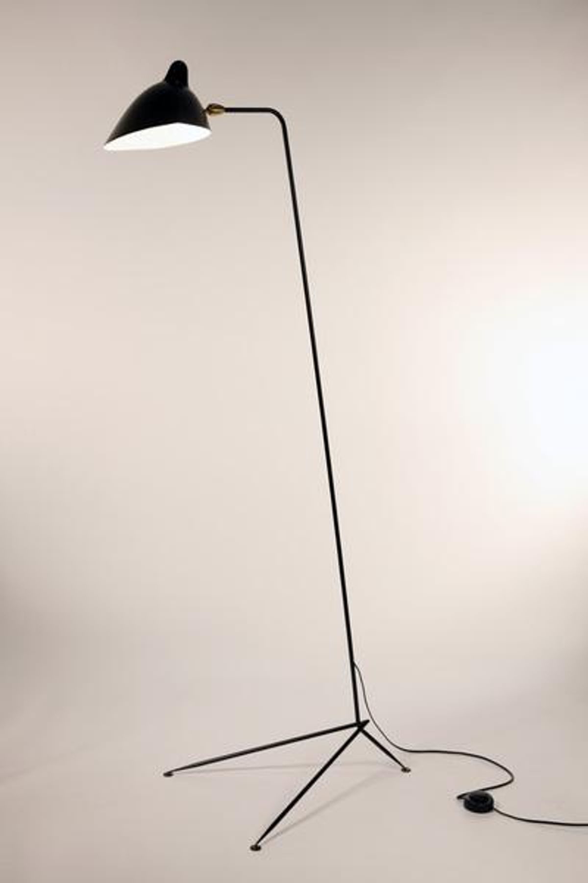 1 Arm Standing Lamp