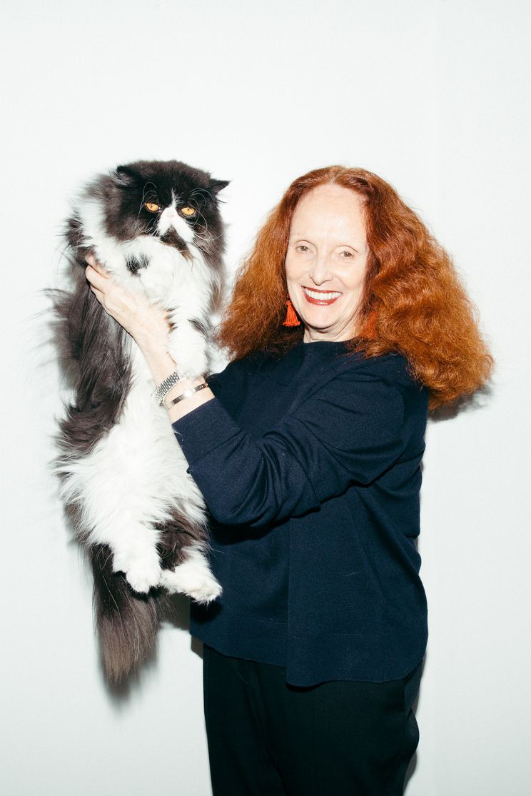 Grace Coddington puts her cats on the catwalk, fashion