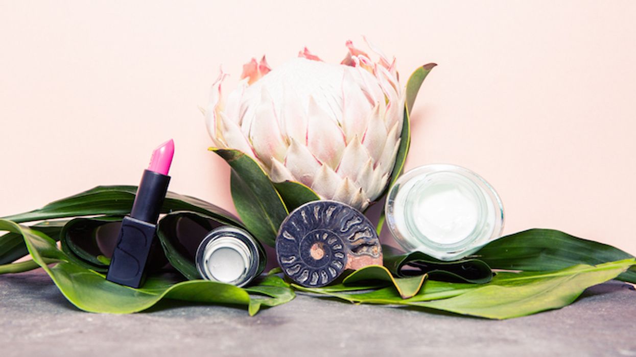 Everything You Need to Know About Snail Beauty Products