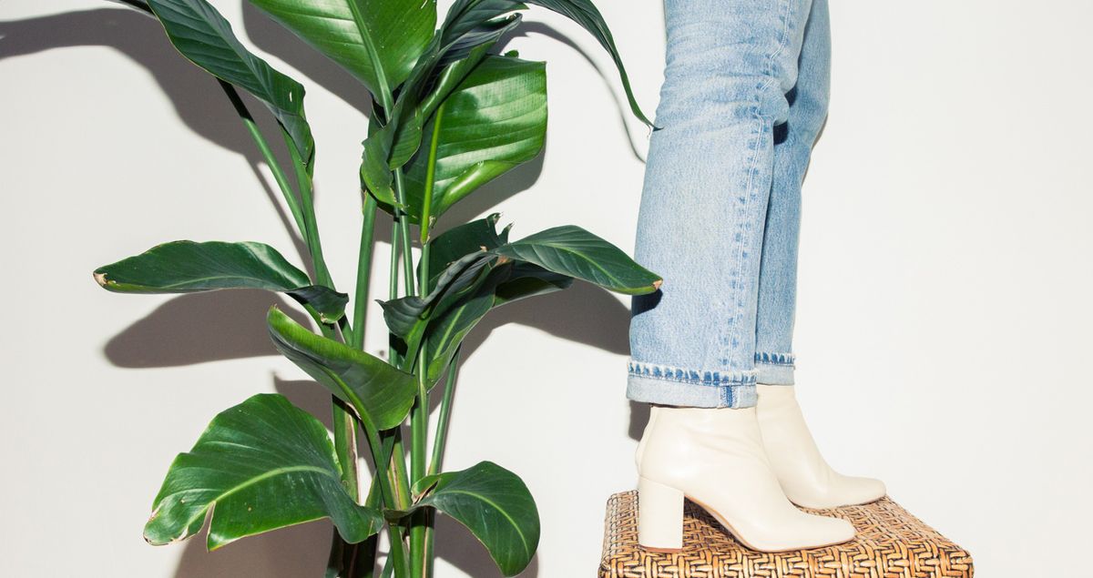 How a Pair of Jeans Became the Most Desired Item in Fashion