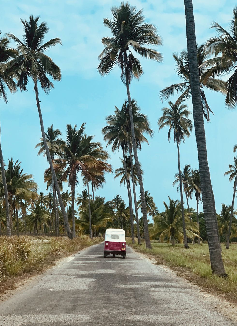 Nausheen Shah’s Glamorous Trip to Cuixmala, Mexico - Coveteur: Inside ...