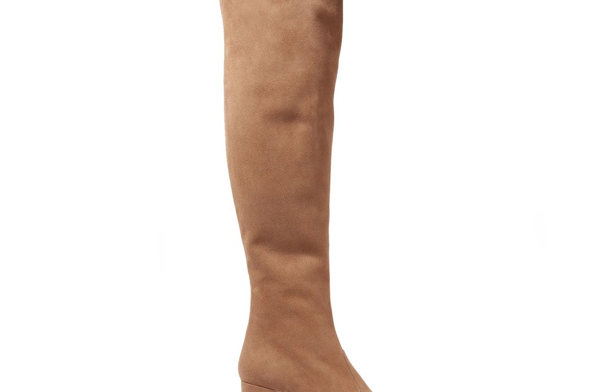 BB Suede Over-the-Knee Boots
