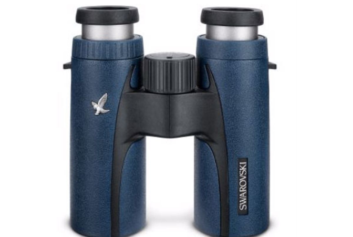 CL Companion Polaris 8x30 B