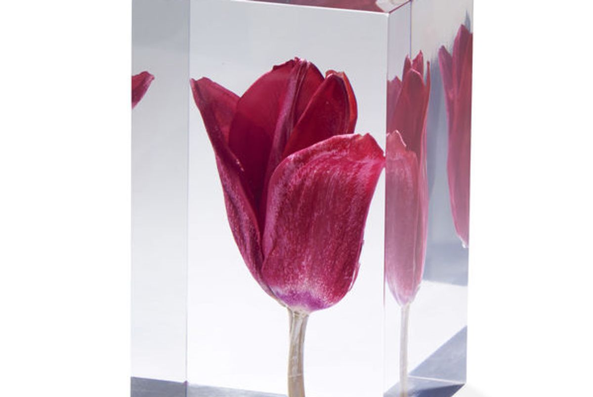 Tulip Objet d’Art