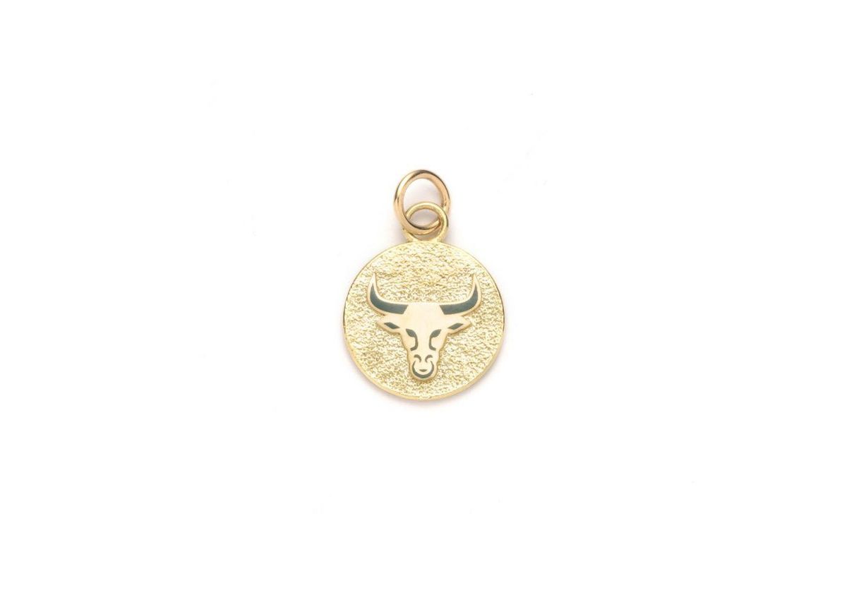 Petite Pebbled Taurus Medallion