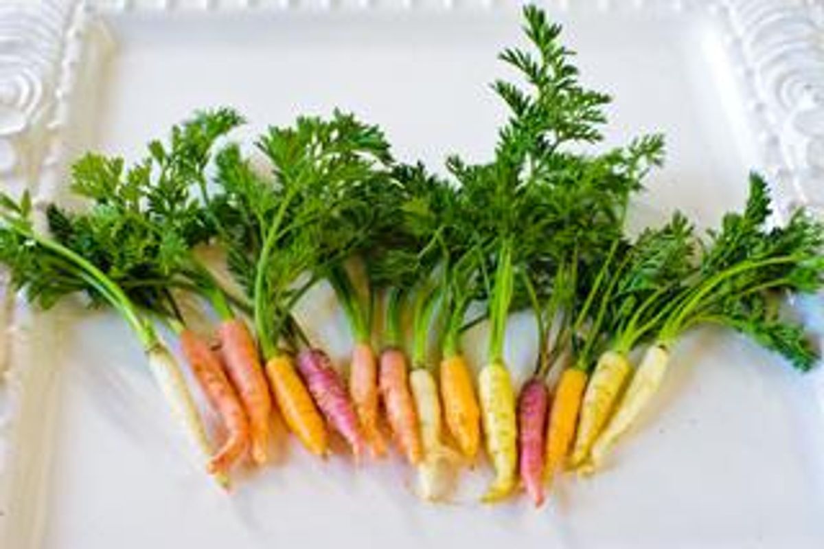 Tiny Veggies Carrot Mix