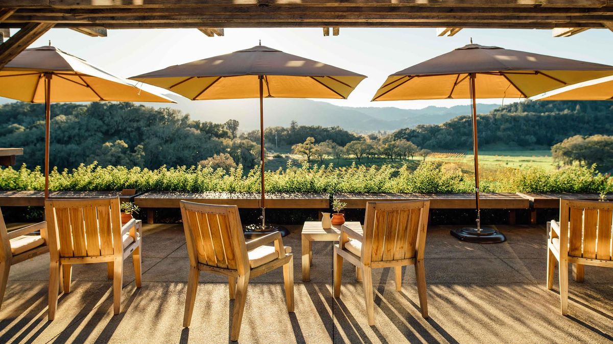 Wine Tasting Experiences for Outdoorsy Oenophiles