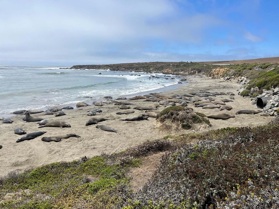 The Weekender: A Guide to California’s Central Coast