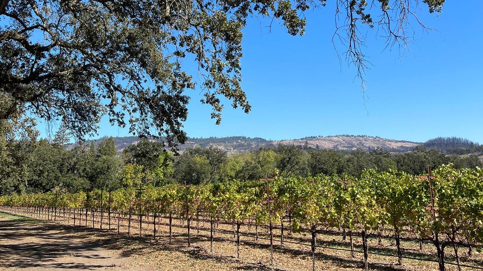 The Weekender: A Guide to Napa Valley, California