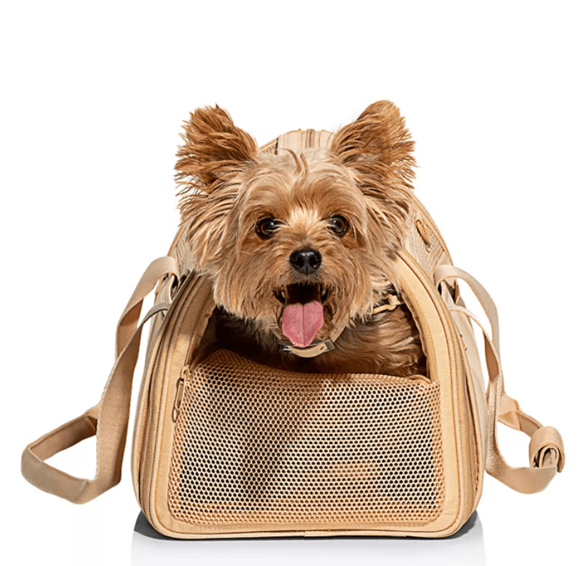 Travel Pet Carrier