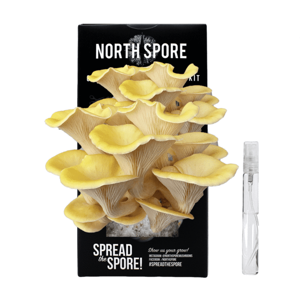 'Spray & Grow' Mushroom Growing Kits