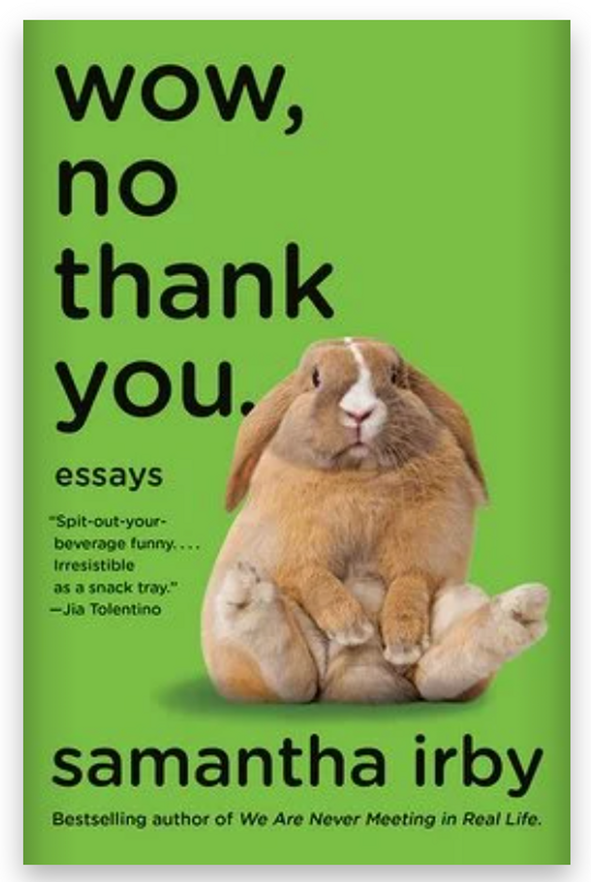 Wow, No Thank You.: Essays