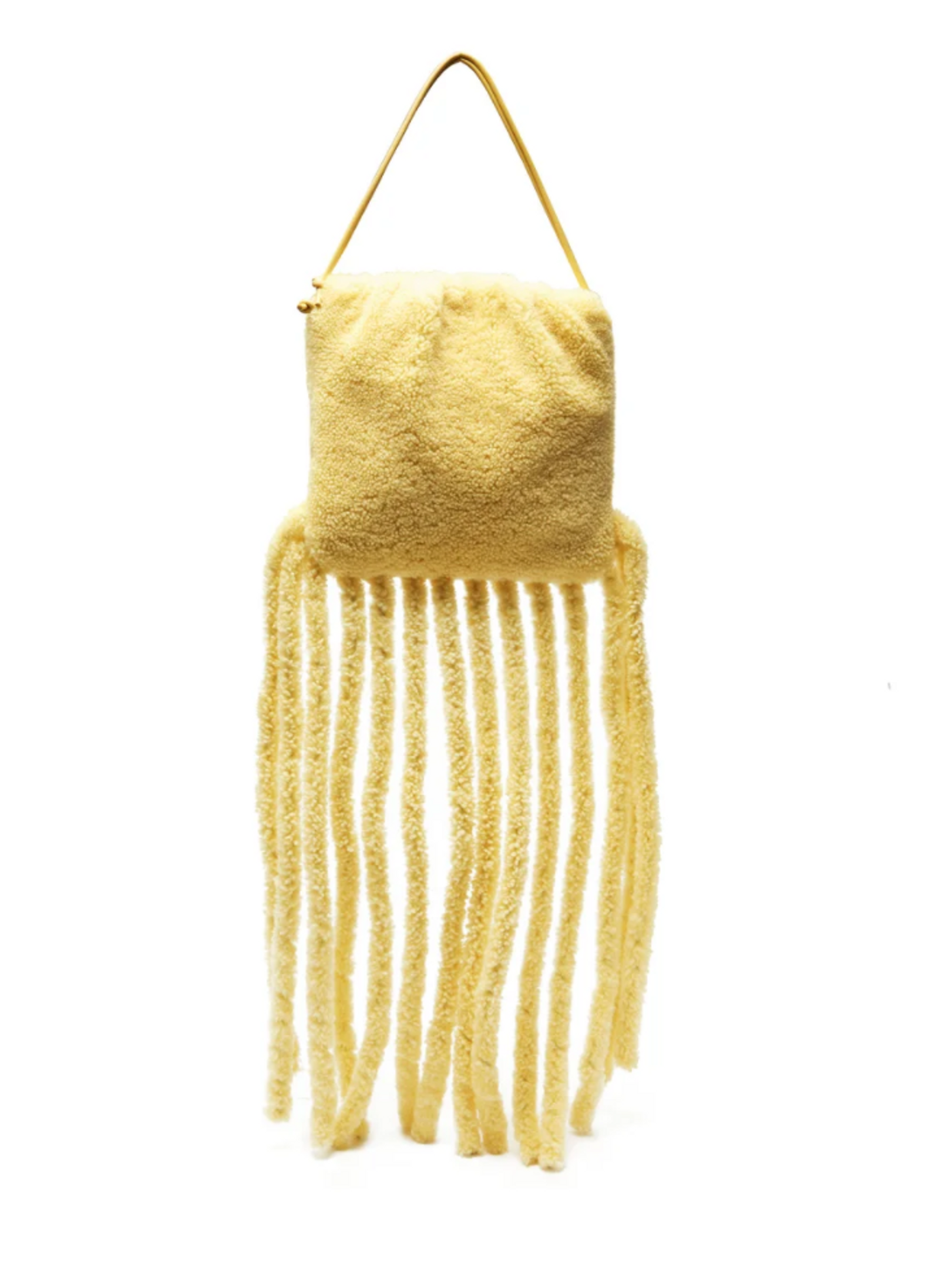 The Fringe Shearling Pouch