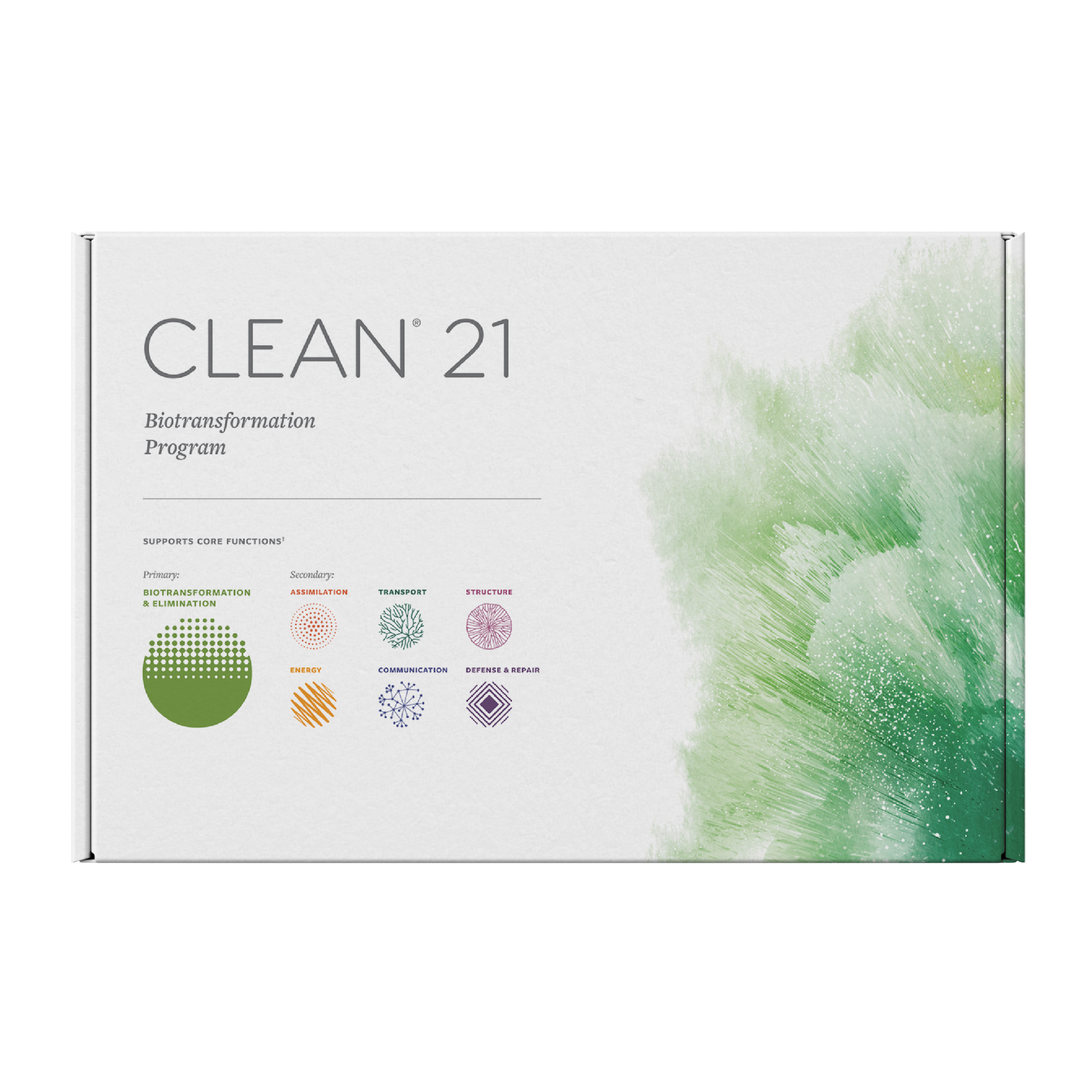 Clean 21 Cleanse Program