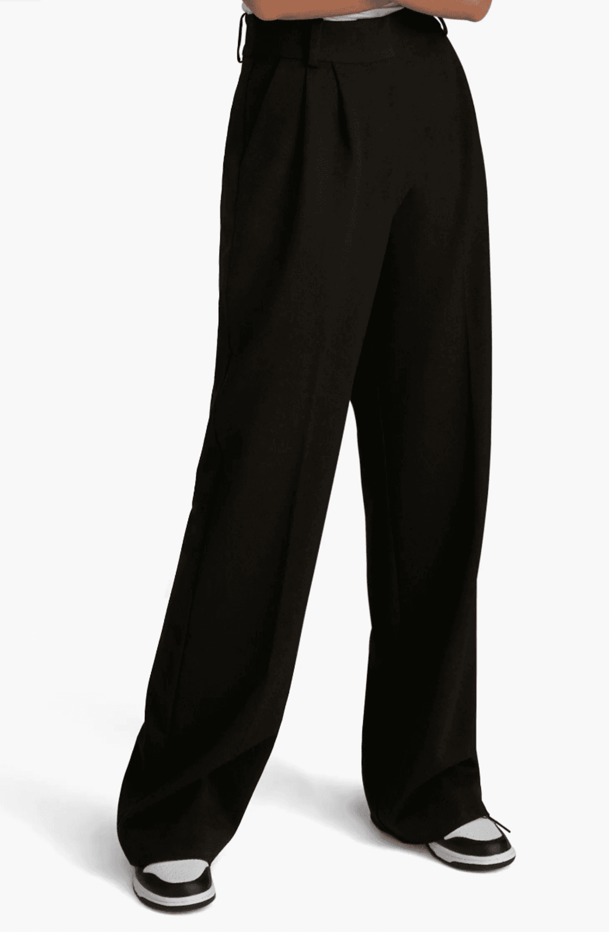 The Favorite Pant Pleat Pants