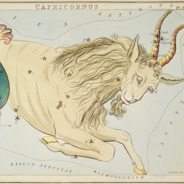 How To Harness The Power Of Capricorn Season, According To 6 Astrologers