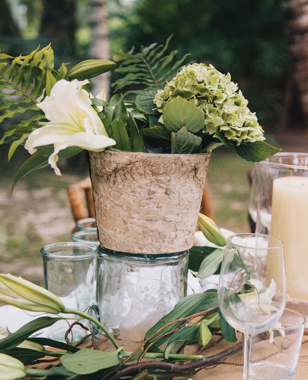 india hicks