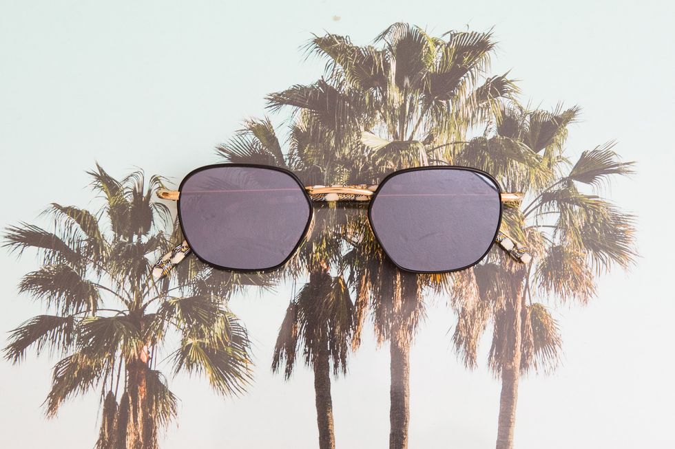 krewe ward sunglasses