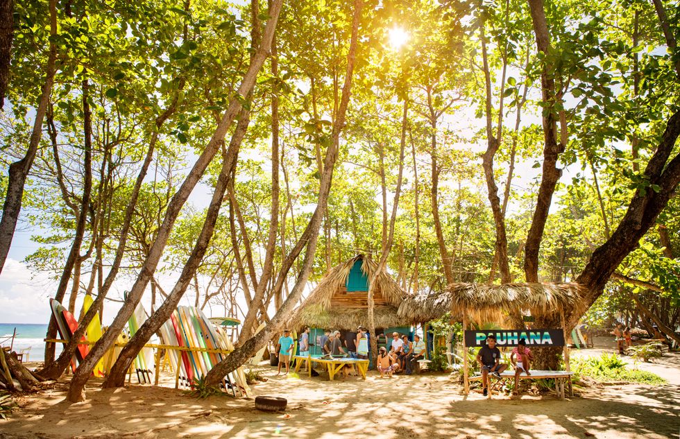 learning how to surf in dominican republic
