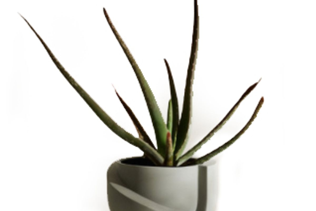 light and ladder vayu ceramic tabletop planter