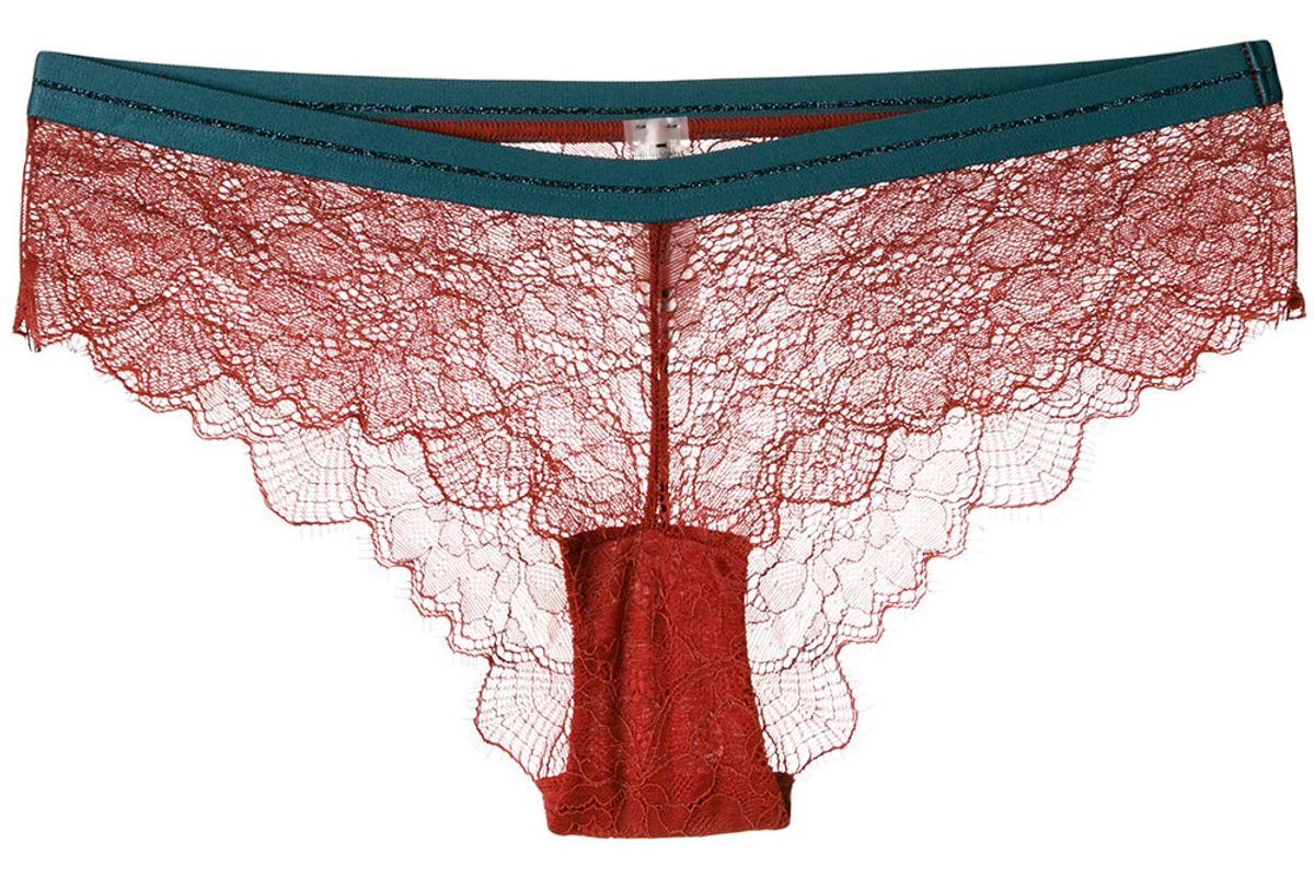 love stories dragonfly lace briefs