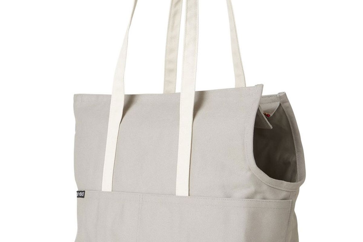 Canvas Pet Tote Grey & Navy