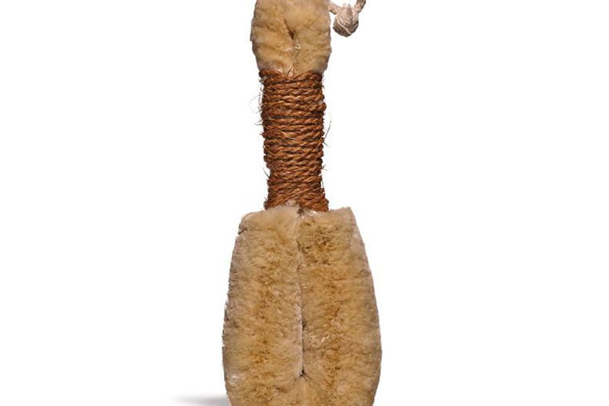 merben dry bush