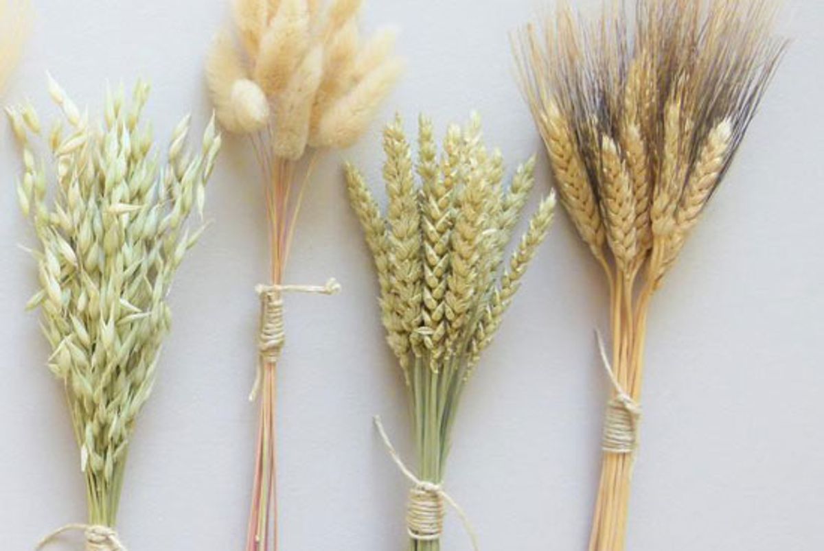 moonflowernatureart dried grass bunched dried flowers rustic table decor flowers for bud vase dried grains dried fall decor dried wheat bunny tails grass