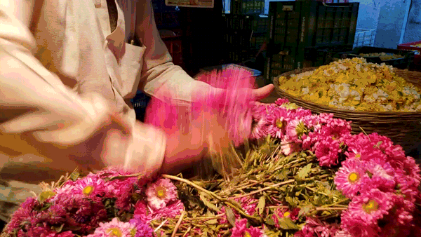 mumbai india travel guide