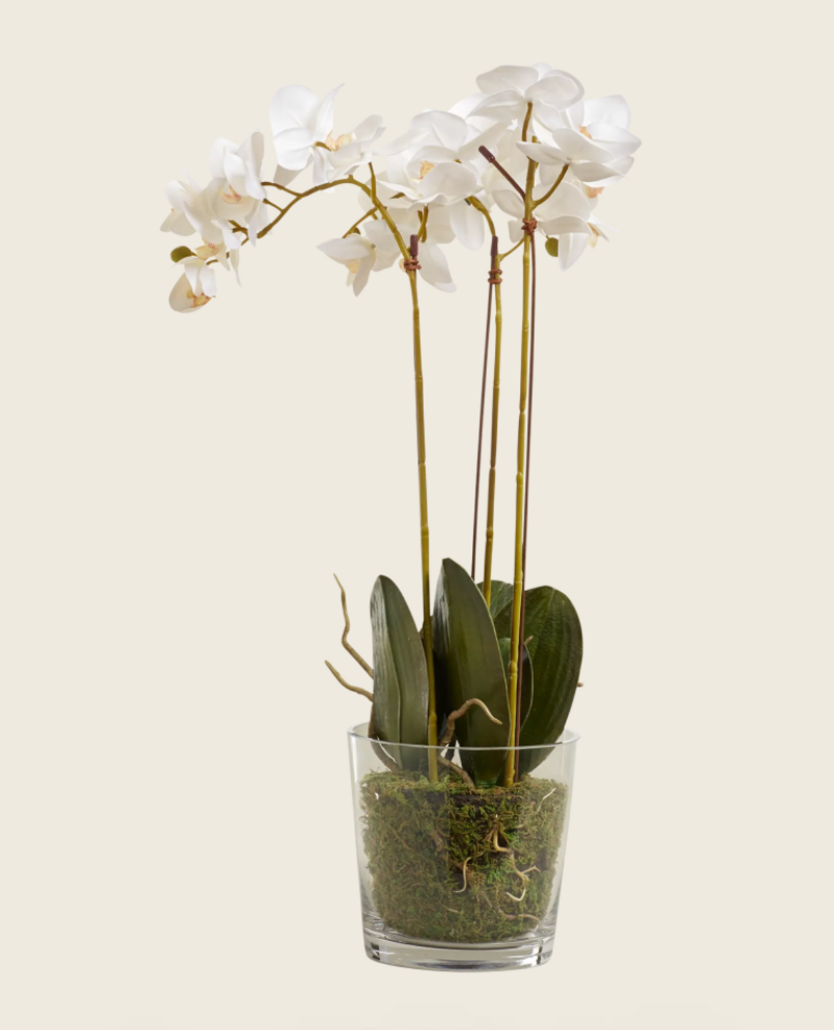 Oka Faux Orchid