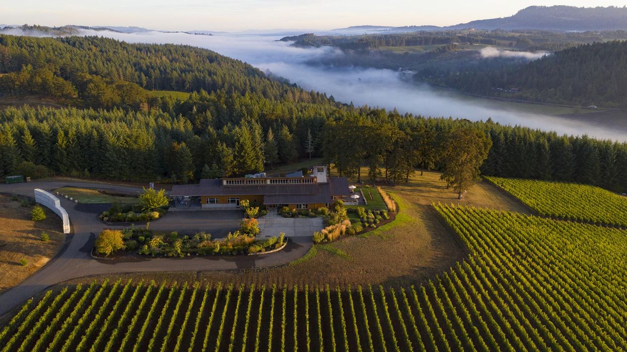 oregon wine country