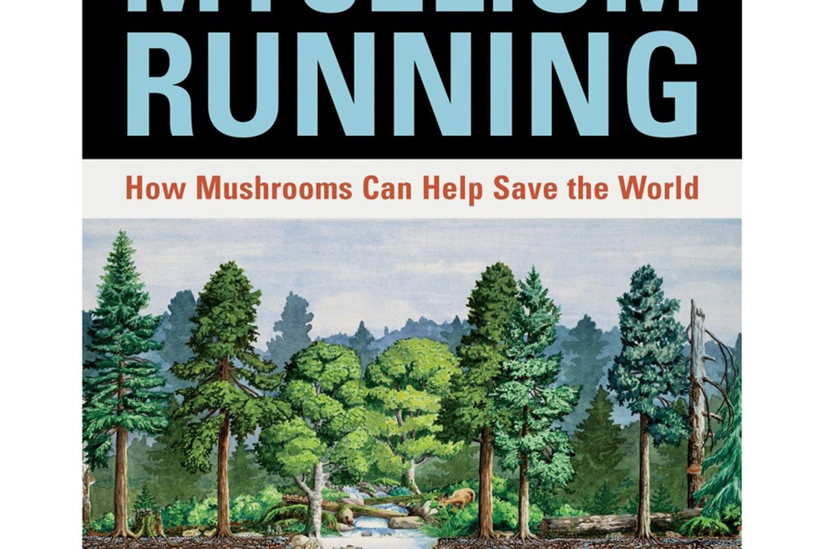 paul stamets mycelium running