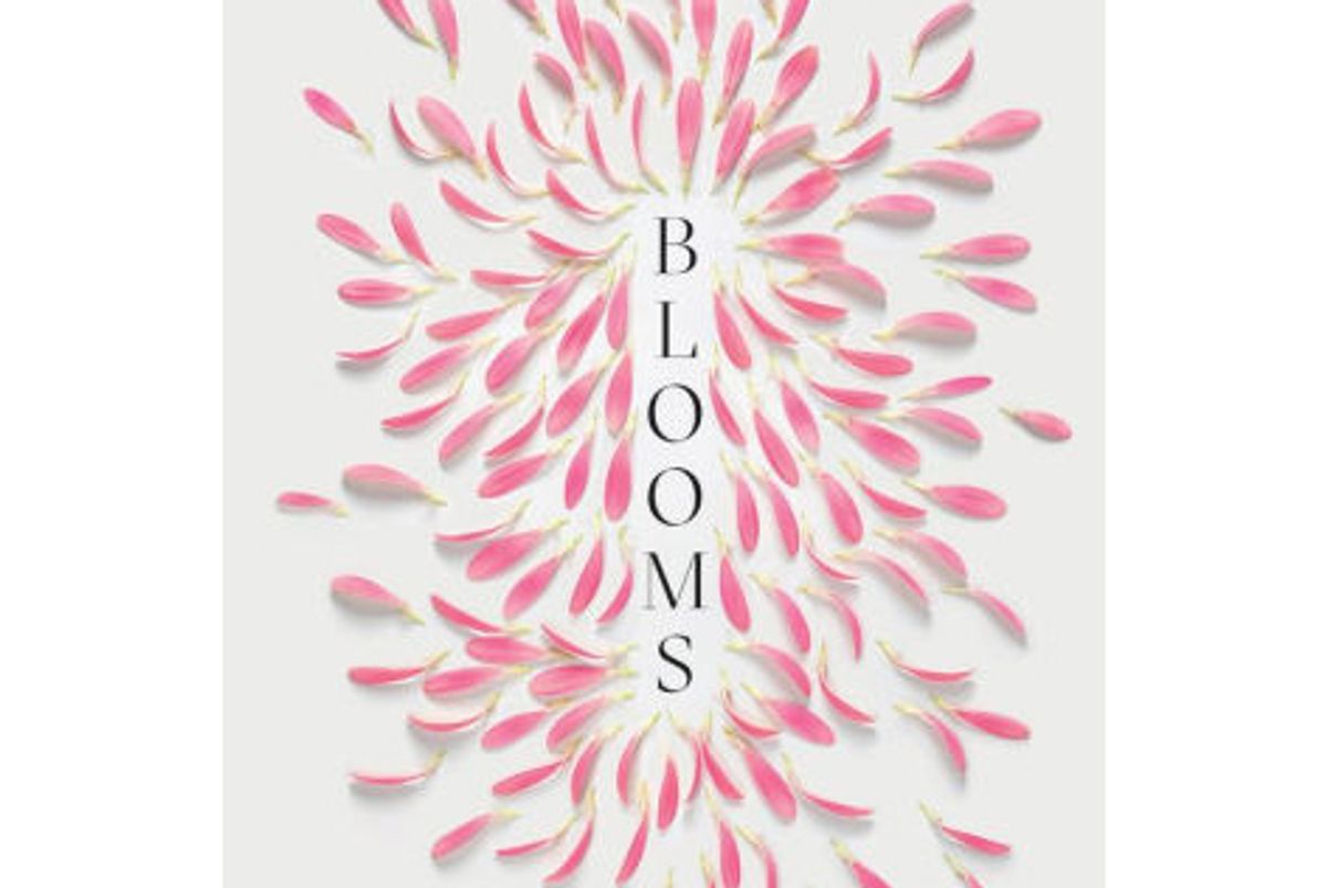 phaidon blooms contemporary floral design