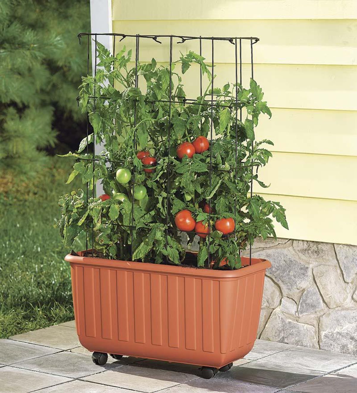 plow and hearth rolling self watering tomato planter and rust resistant tower