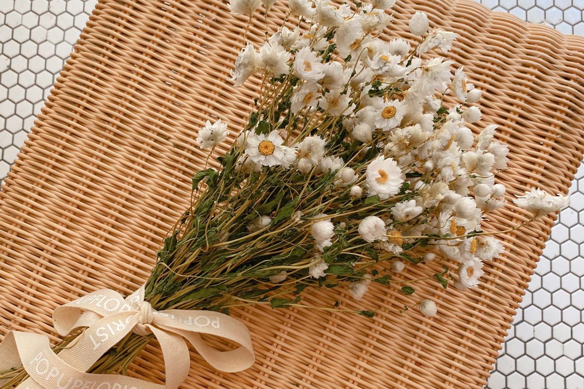 popupflorist dried daisy bunch