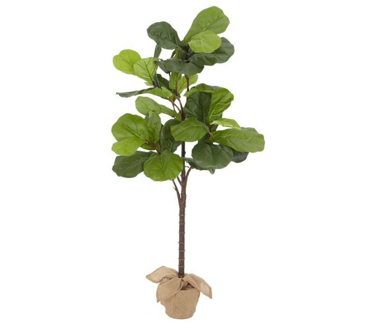 Pottery Barn Faux Potted Fig Tree